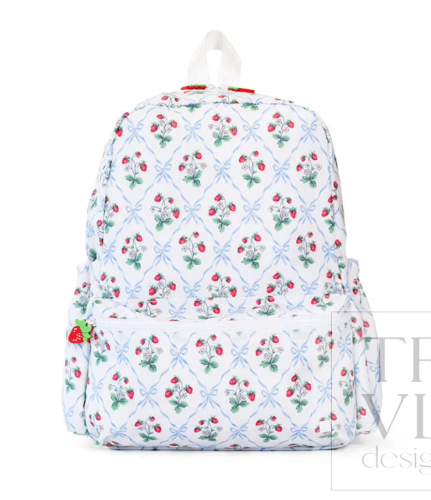 TRVL Back Packer
